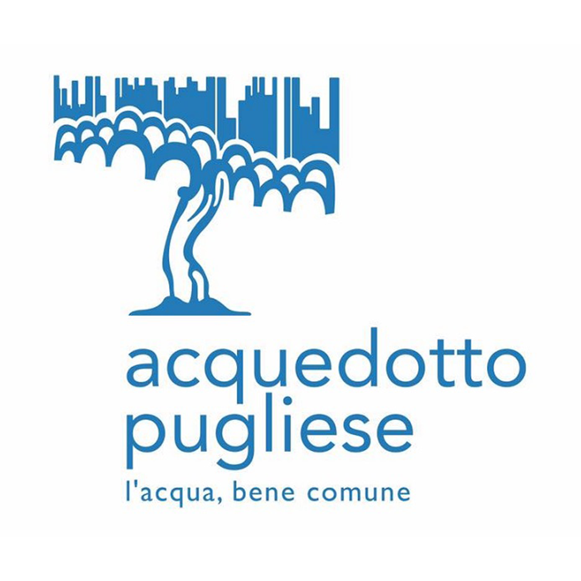 Aqp-apertura